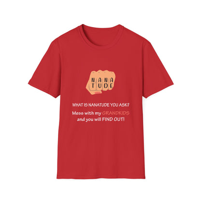 Nanatude! Hurt my grandkids and find out T-Shirt