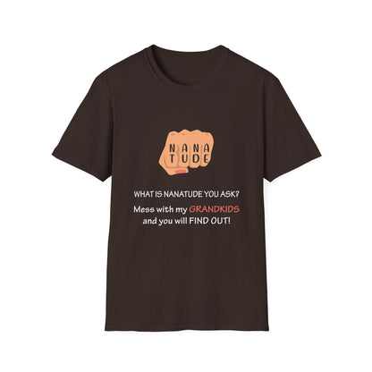 Nanatude! Hurt my grandkids and find out T-Shirt